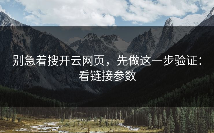 别急着搜开云网页，先做这一步验证：看链接参数