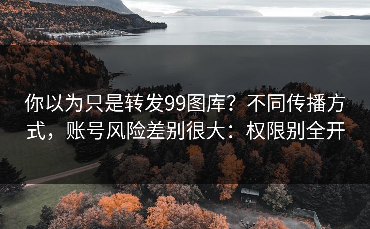 你以为只是转发99图库？不同传播方式，账号风险差别很大：权限别全开