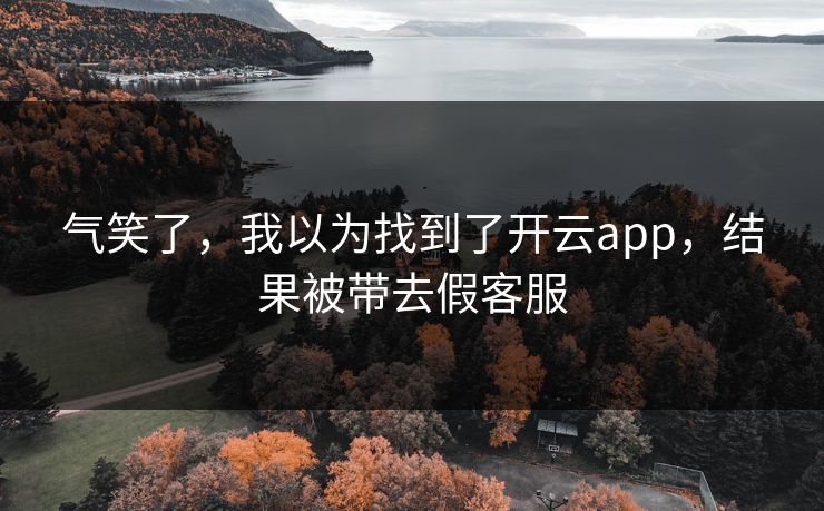 气笑了，我以为找到了开云app，结果被带去假客服