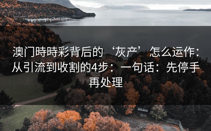 澳门時時彩背后的‘灰产’怎么运作：从引流到收割的4步：一句话：先停手再处理