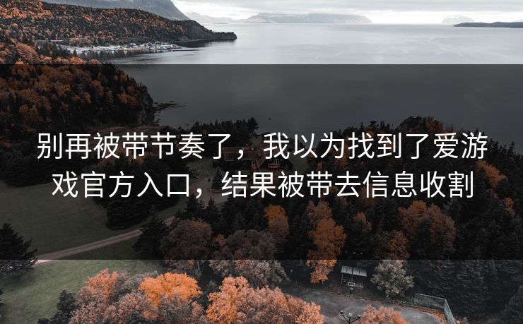 别再被带节奏了，我以为找到了爱游戏官方入口，结果被带去信息收割